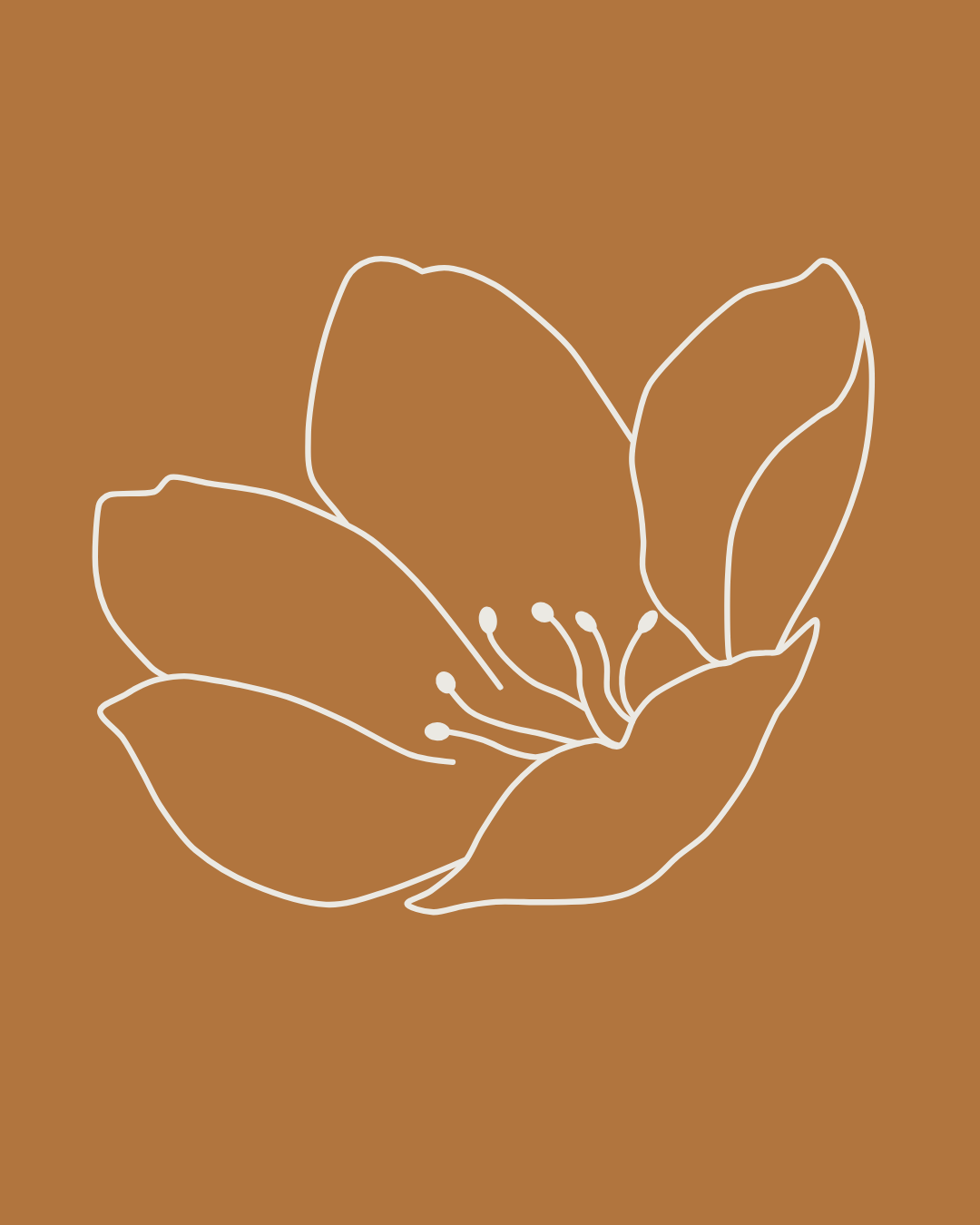 B&C Iconlogo